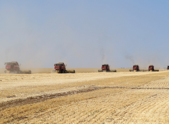 Андрей Бочаров: «Область преодолела трехмиллионный рубеж по сбору зерна»